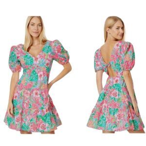 NWT Lilly Pulitzer Nalani Dress puff sleeve pink green size 16